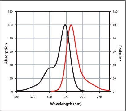 Anti-Rabbit IgG (H+L), CF&#8482; 660C antibody produced in goat ~2&#160;mg/mL, affinity isolated antibody