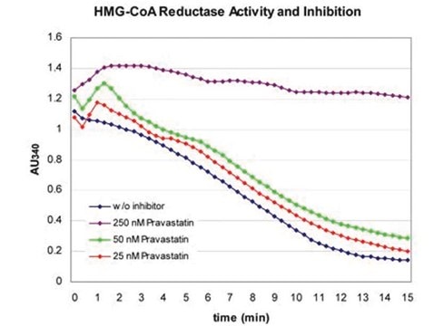 HMG-CoA Reductase Assay Kit sufficient for 30&#160;assays (1 mL), sufficient for 100&#160;assays (200 &#956;L)