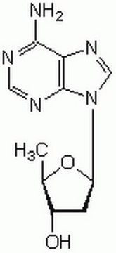 2&#8242;,5&#8242;-Dideoxyadenosine Cell-permeable, non-competitive adenylate cyclase inhibitor (IC&#8325;&#8320; = 3 &#181;M), that binds to the adenosine P1 binding site.