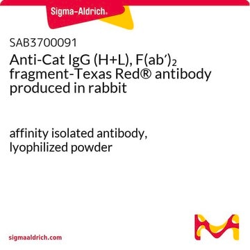 Anti-Cat IgG (H+L), F(ab&#8242;)2 fragment-Texas Red&#174; antibody produced in rabbit affinity isolated antibody, lyophilized powder