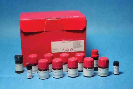 Buchwald Ligands Kit III