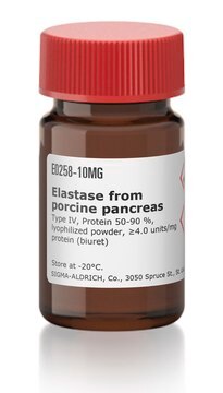 Elastase from porcine pancreas Type IV, Protein 50-90&#160;%, lyophilized powder, &#8805;4.0&#160;units/mg protein (biuret)