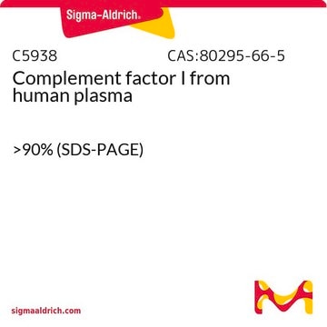 Complement factor I from human plasma &gt;90% (SDS-PAGE)