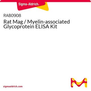 Rat Mag / Myelin-associated Glycoprotein ELISA Kit