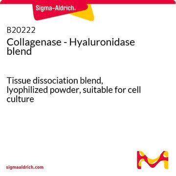 Collagenase - Hyaluronidase blend Tissue dissociation blend, lyophilized powder, suitable for cell culture