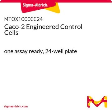 Caco-2 Engineered Control Cells one assay ready, 24-well plate