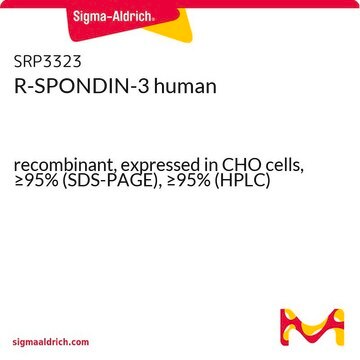 R-SPONDIN-3 human recombinant, expressed in CHO cells, &#8805;95% (SDS-PAGE), &#8805;95% (HPLC)