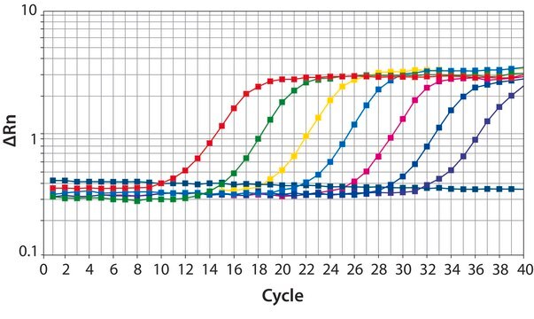 SYBR&#174; Green JumpStart&#8482; Taq ReadyMix&#8482; for quantitative PCR, without MgCl2 in buffer