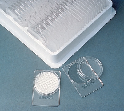 PetriSlides, Millipore&#174; size 51&#160;mm × 76&#160;mm, polystyrene