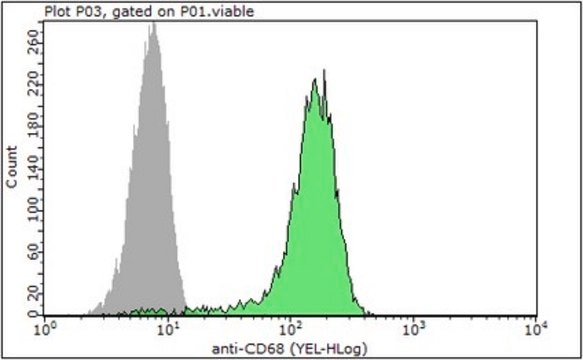 Anti-Microsialin/CD68 Antibody, clone 9 clone 9, 1&#160;mg/mL, from rat