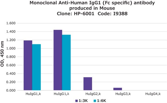 Monoclonal Anti-Human IgG1 (Fc specific) antibody produced in mouse clone HP-6001, ascites fluid