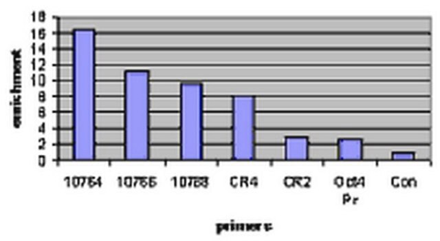 Anti-Klf2 Antibody serum, from rabbit