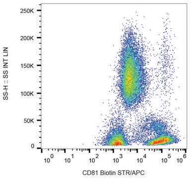 Monoclonal Anti-CD81 antibody produced in mouse clone M38