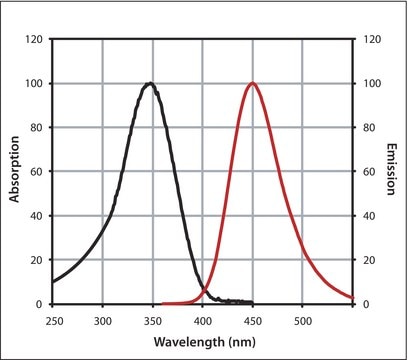 Anti-Sheep IgG (H+L), highly cross-adsorbed, CF&#8482; 350 antibody produced in donkey ~2&#160;mg/mL, affinity isolated antibody