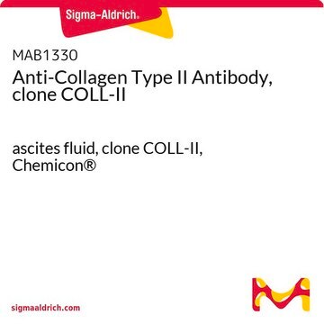 Anti-Collagen Type II Antibody, clone COLL-II ascites fluid, clone COLL-II, Chemicon&#174;