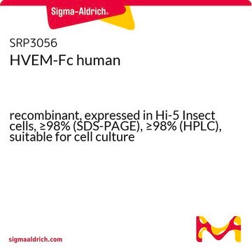 HVEM-Fc human recombinant, expressed in Hi-5 Insect cells, &#8805;98% (SDS-PAGE), &#8805;98% (HPLC), suitable for cell culture