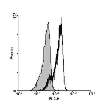 Anti-Interleukin 23 alpha (IL-23A) Antibody from rabbit, purified by affinity chromatography