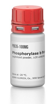 Phosphorylase b from rabbit muscle lyophilized powder, &#8805;20&#160;units/mg protein, 2&#215; crystallization