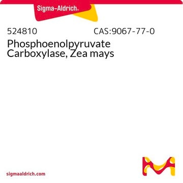 Phosphoenolpyruvate Carboxylase, Zea mays