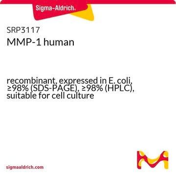 MMP-1 human recombinant, expressed in E. coli, &#8805;98% (SDS-PAGE), &#8805;98% (HPLC), suitable for cell culture