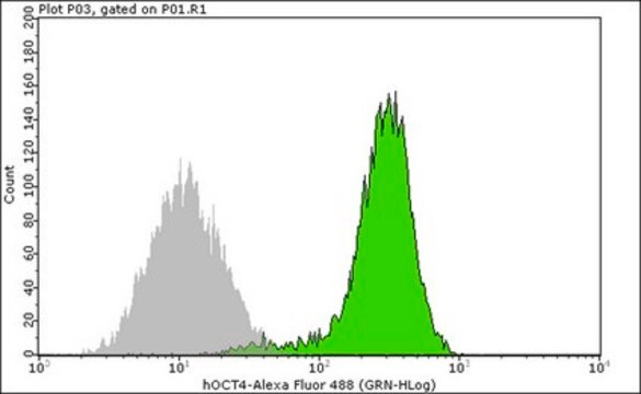 Anti-Oct-4 Antibody, clone 10H11.2, Alexa Fluor&#8482; 488 conjugate clone 10H11.2, from mouse, ALEXA FLUOR&#8482; 488