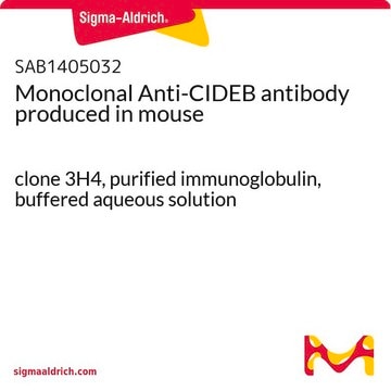 Monoclonal Anti-CIDEB antibody produced in mouse clone 3H4, purified immunoglobulin, buffered aqueous solution