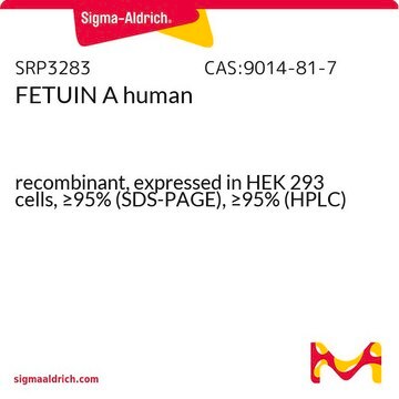 FETUIN A human recombinant, expressed in HEK 293 cells, &#8805;95% (SDS-PAGE), &#8805;95% (HPLC)