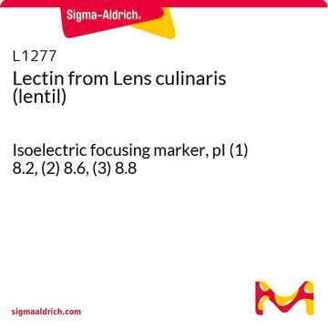 Lectin from Lens culinaris (lentil) Isoelectric focusing marker, pI&#160;(1) 8.2, (2) 8.6, (3) 8.8