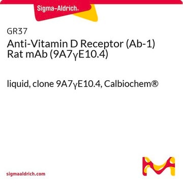 Anti-Vitamin D Receptor (Ab-1) Rat mAb (9A7&#947;E10.4) liquid, clone 9A7&#947;E10.4, Calbiochem&#174;