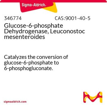 Glucose-6-phosphate Dehydrogenase, Leuconostoc mesenteroides Catalyzes the conversion of glucose-6-phosphate to 6-phosphogluconate.