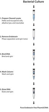 GenElute&#8482; Endotoxin-free Plasmid Maxiprep Kit sufficient for 15&#160;purifications