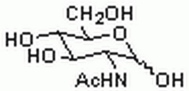 N-Acetyl-D-glucosamine An acceptor substrate for galactosyltransferases. Inhibits the lectin WGA and &#946;-N-acetylhexosaminidase (Ki = 430 &#181;M). When added to a medium, it improves the recovery of Haemophilus influenza from sputum.