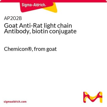 Goat Anti-Rat light chain Antibody, biotin conjugate Chemicon&#174;, from goat