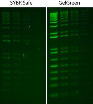 GelGreen&#174; Nucleic Acid Stain 10000X Water GelGreen is a fluorescent nucleic acid stain designed to replace the highly toxic ethidium bromide (EtBr) for staining dsDNA, ssDNA or RNA in agarose gels or polyacrylamide gels.