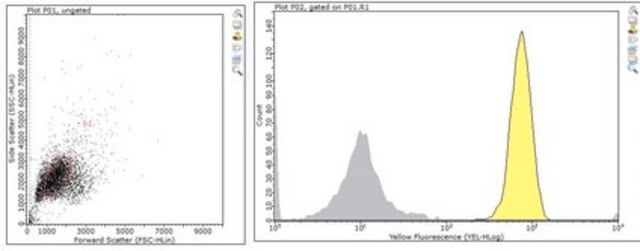 Anti-CDCP1 (CD318) Antibody, clone 9A2 clone 9A2, from mouse