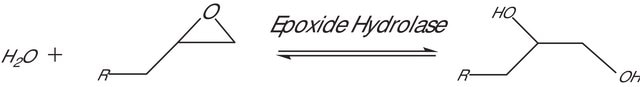 Epoxide Hydrolase from Rhodococcus rhodochrous lyophilized powder, beige, &#8805;0.2&#160;U/g