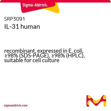 IL-31 human recombinant, expressed in E. coli, &#8805;98% (SDS-PAGE), &#8805;98% (HPLC), suitable for cell culture