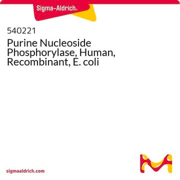 Purine Nucleoside Phosphorylase, Human, Recombinant, E. coli