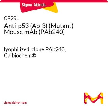 Anti-p53 (Ab-3) (Mutant) Mouse mAb (PAb240) lyophilized, clone PAb240, Calbiochem&#174;