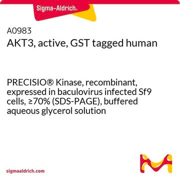 AKT3, active, GST tagged human PRECISIO&#174; Kinase, recombinant, expressed in baculovirus infected Sf9 cells, &#8805;70% (SDS-PAGE), buffered aqueous glycerol solution