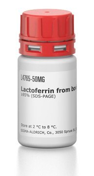 Lactoferrin from bovine colostrum &#8805;85% (SDS-PAGE)