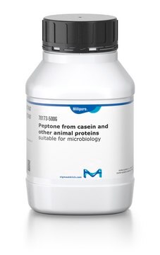 Peptone from casein and other animal proteins suitable for microbiology