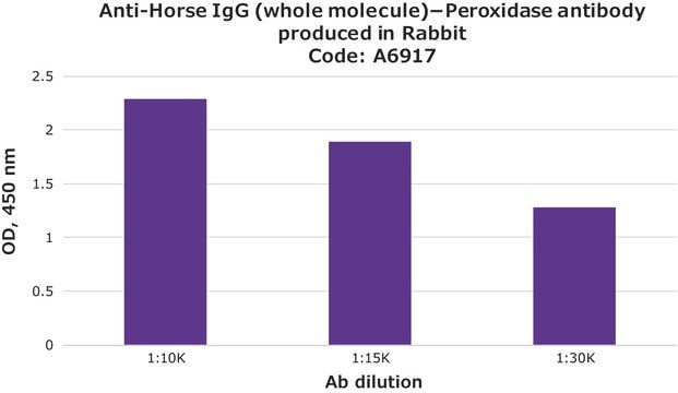 Anti-Horse IgG (whole molecule)&#8722;Peroxidase antibody produced in rabbit affinity isolated antibody, buffered aqueous solution