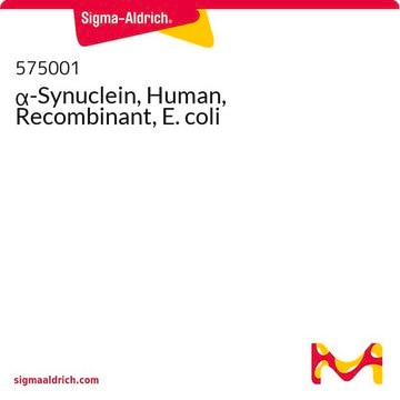 &#945;-Synuclein, Human, Recombinant, E. coli