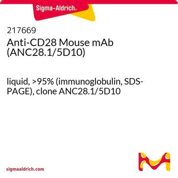 Anti-CD28 Mouse mAb (ANC28.1/5D10) liquid, &gt;95% (immunoglobulin, SDS-PAGE), clone ANC28.1/5D10