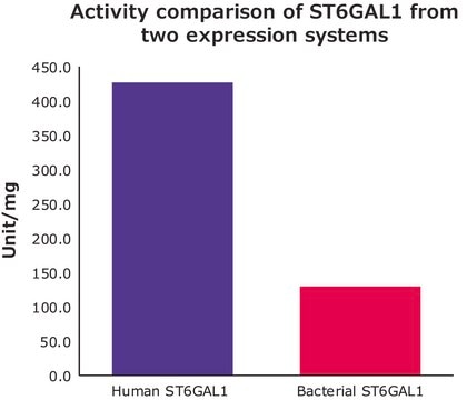 Beta-galactoside alpha-2,6-sialyltransferase 1 &#8805;300&#160;units/mg protein, ST6GAL1 human recombinant, expressed in HEK 293 cells