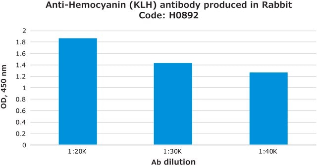 Anti-Hemocyanin (KLH) antibody produced in rabbit affinity isolated antibody, buffered aqueous solution