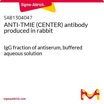 ANTI-TMIE (CENTER) antibody produced in rabbit IgG fraction of antiserum, buffered aqueous solution