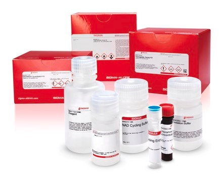 Arginase Activity Assay Kit sufficient for 200&#160;colorimetric&nbsp;tests