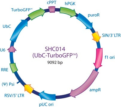 MISSION&#174; pLKO.1-puro-UbC-TurboGFP&#8482; Positive Control Transduction Particles Contains a gene encoding TurboGFP, under the control of the UbC promoter